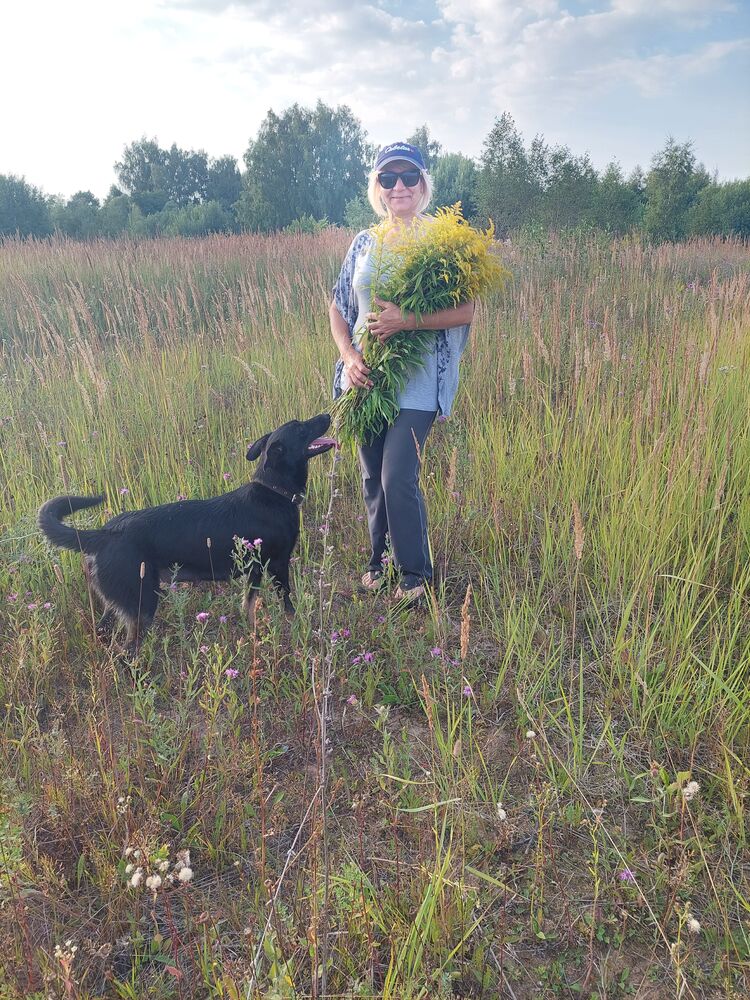 ���� 29997970 ������� �����, 58 ���, ���� ���������� � �����