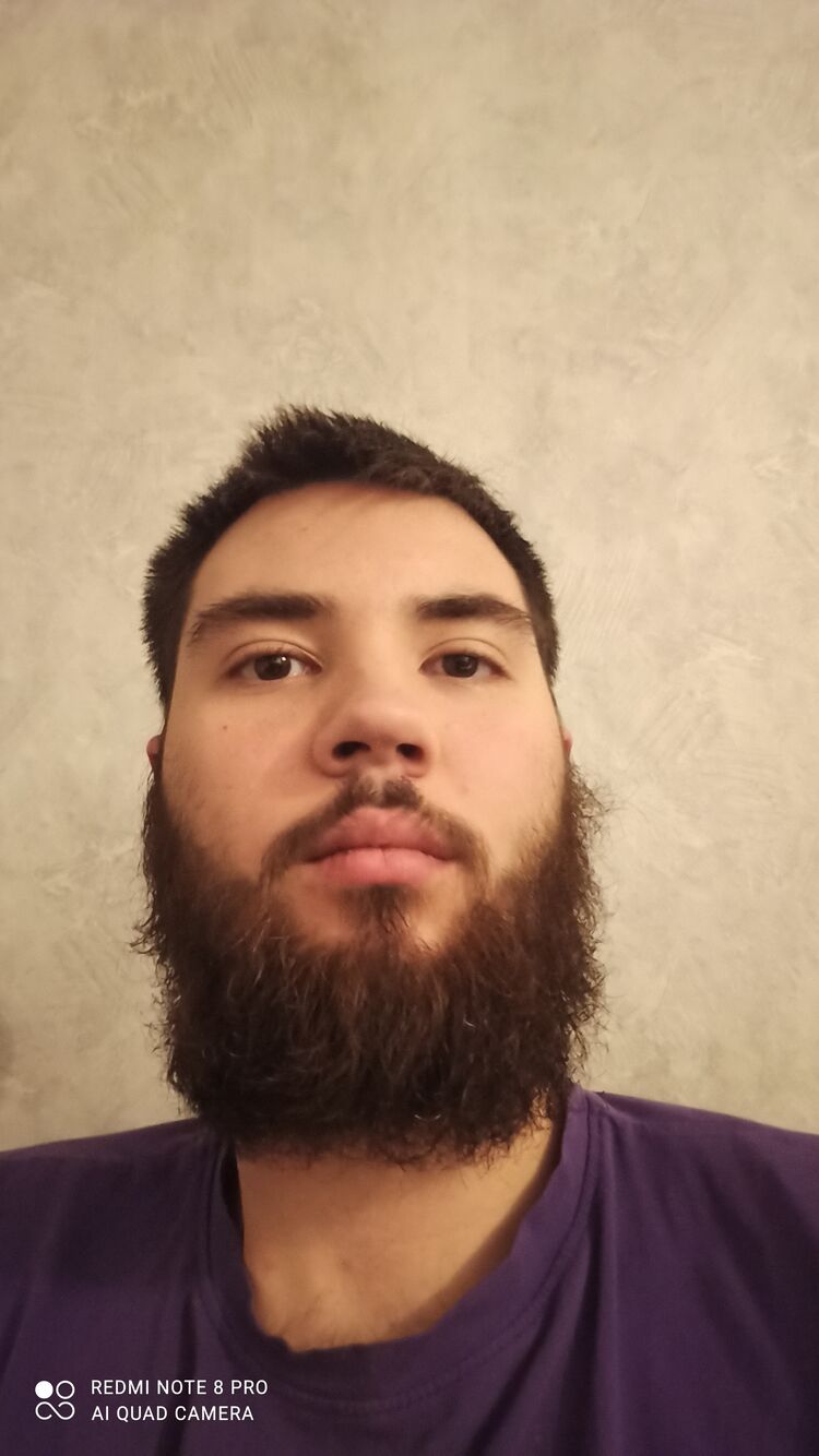  48081650  , 20 ,    
