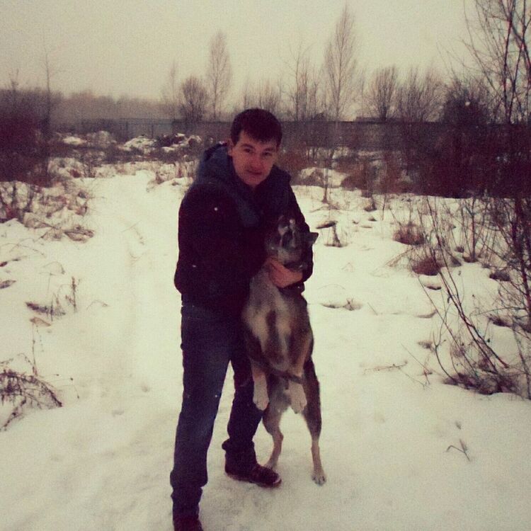 ���������� ������ ��������, ���� ������� ������, 36 ���, ������������ ��� ������, ����� � ���������, c�������� ���������