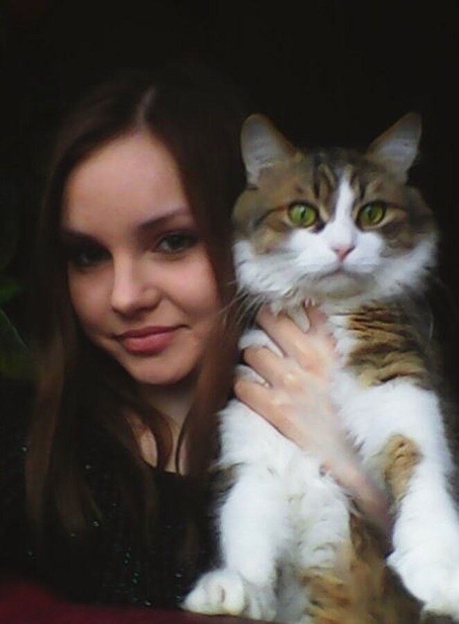  ,   , 26 ,  