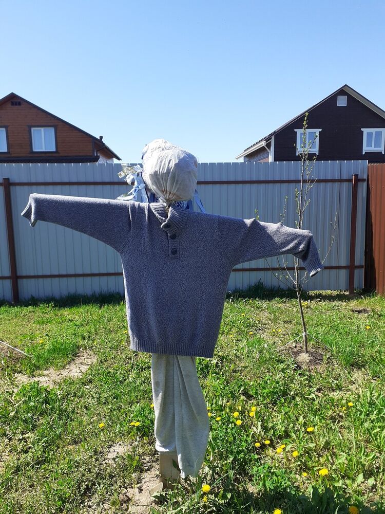 ���� 20807480 ������� Sm holov, 29 ���, ���� ���������� � ������