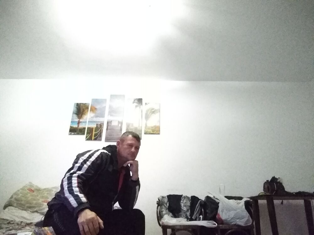  31323570  , 44 ,    -