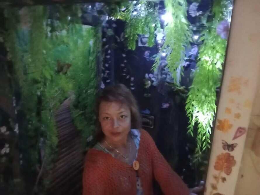 ���������� ������������, ���� ������� ����, 50 ���, ������������ ��� c�������� ���������, ���������