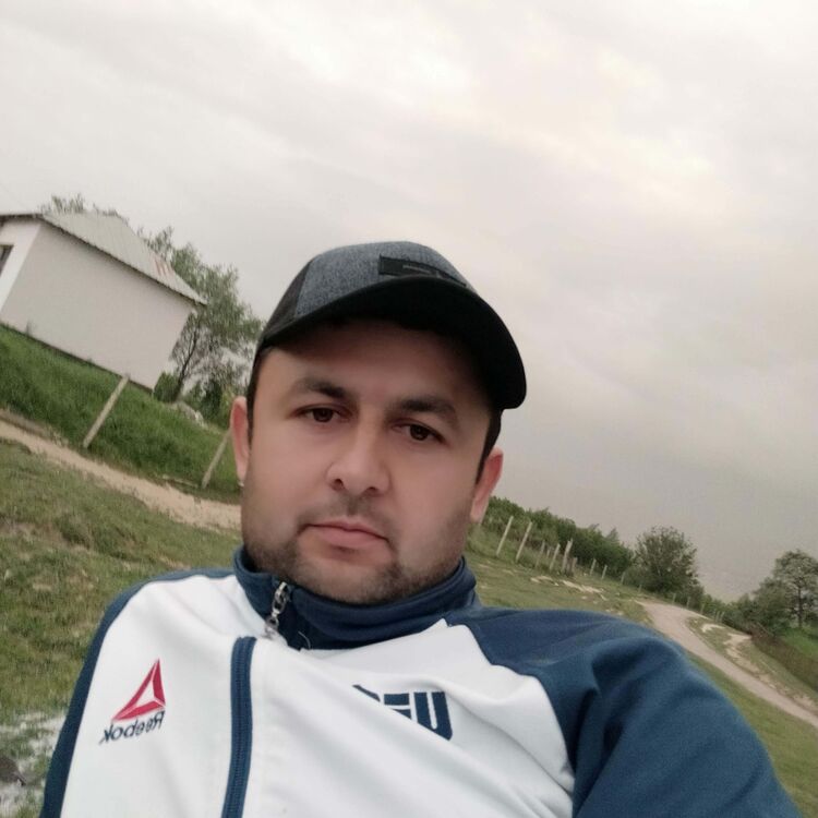 ���� 23988390 ������� ��������, 36 ���, ���� ���������� � ������