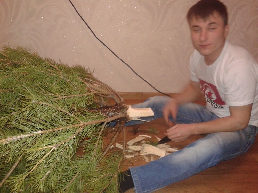 ���� 8869440 ������� �����, 38 ���, ���� ���������� � �����