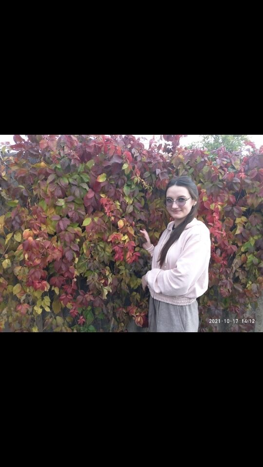 ���� 25120960 ������� ���������, 23 ����, ���� ���������� � �������-��-����