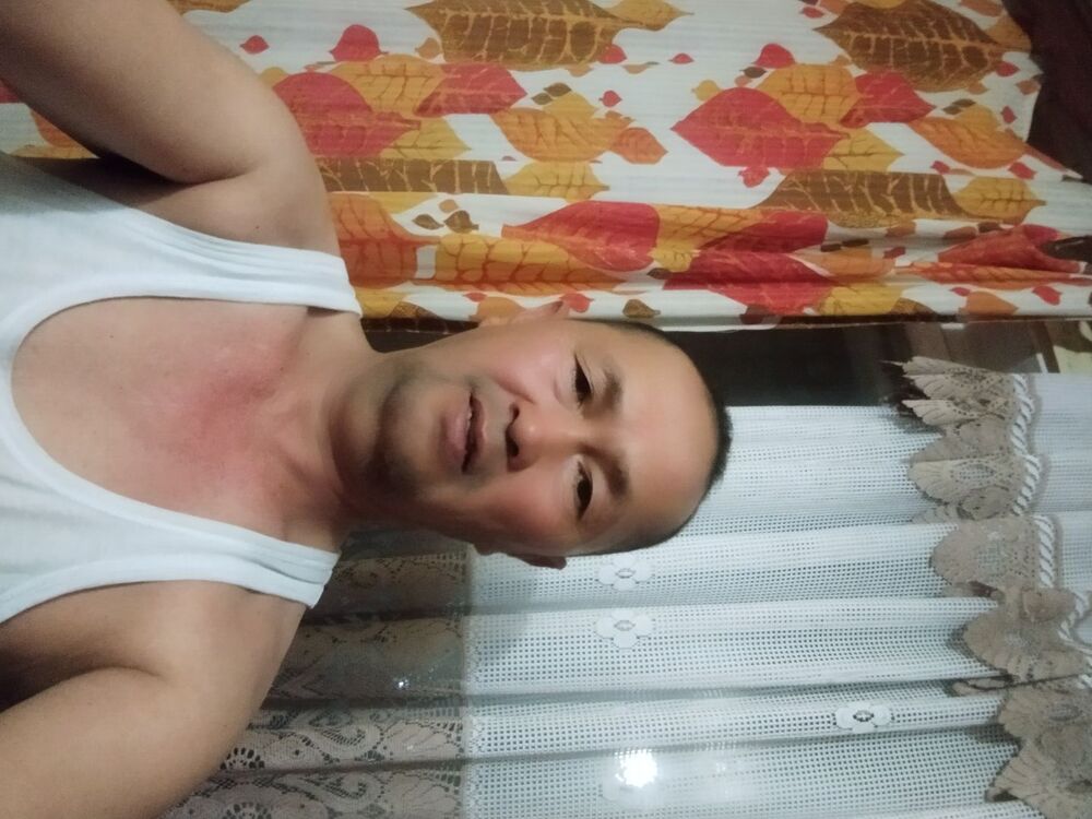  50665150  Gulboy, 54 ,    -