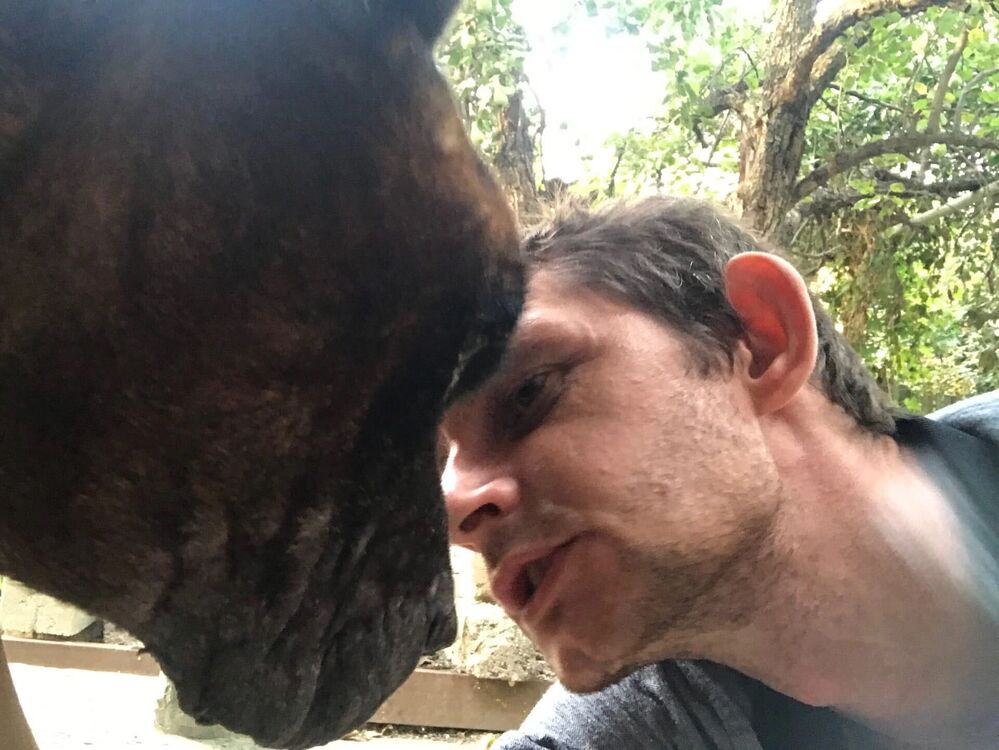 ���������� ��������, ���� ������� �����, 37 ���, ������������ ��� ������, ����� � ���������, c�������� ���������, ���������