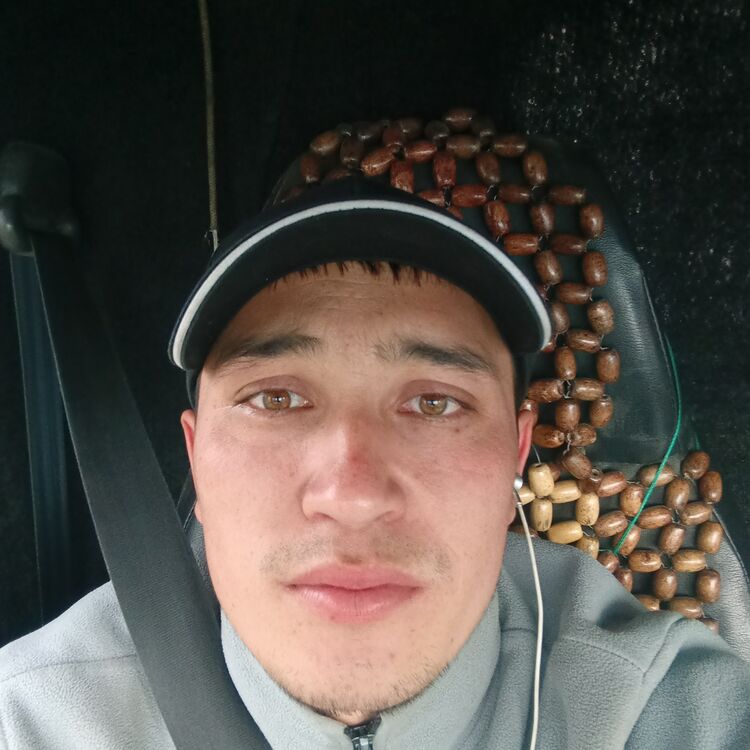  42545540  , 24 ,    