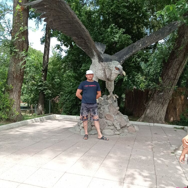 ���� 35356130 ������� ����������, 38 ���, ���� ���������� � ������