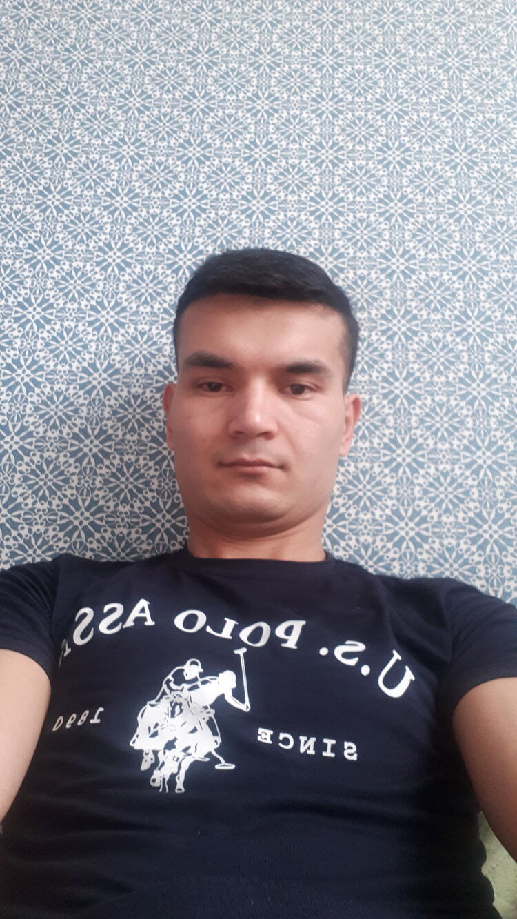  53554970  , 31 ,    