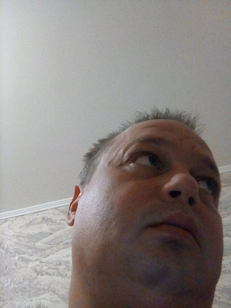 ���� 40162640 ������� ������, 42 ����, ���� ���������� � ������