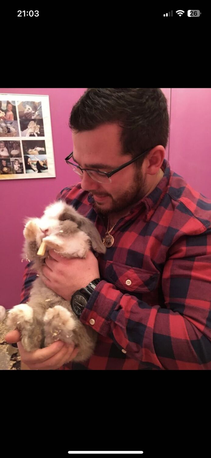 ���������� ������, ���� ������� �������, 36 ���, ������������ ��� ������, ����� � ���������