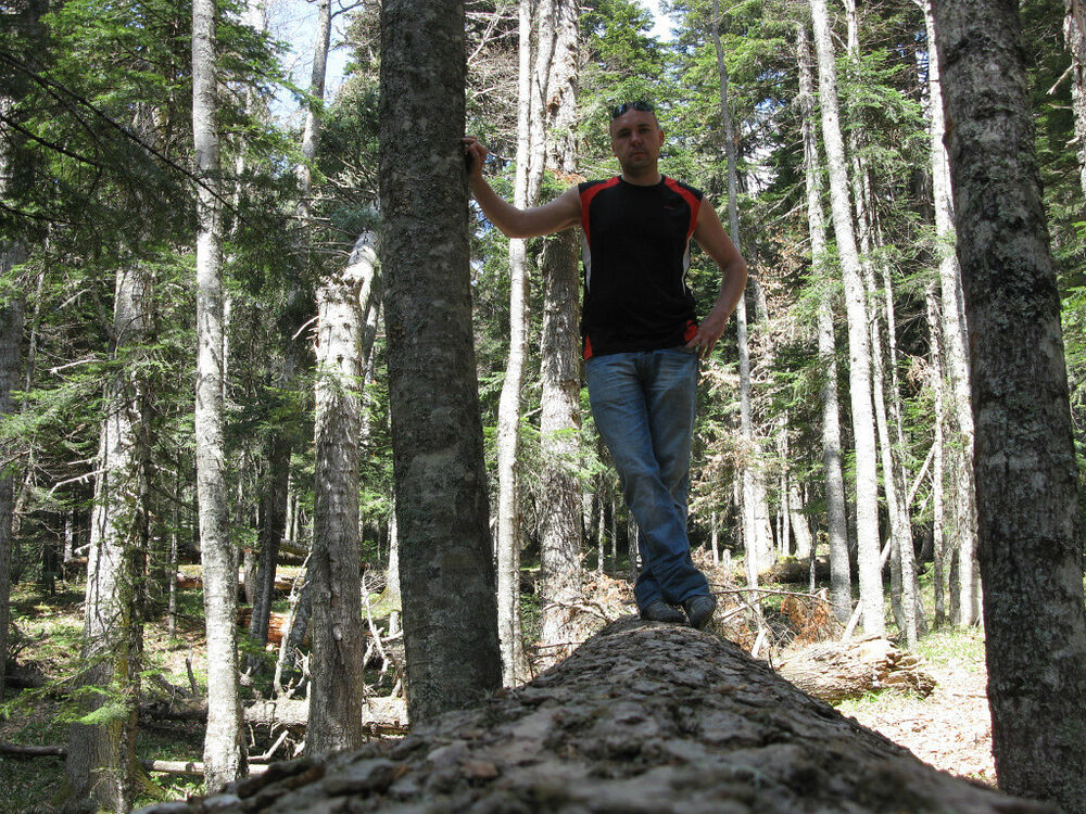 ���������� ������-��-����, ���� ������� ������, 41 ���, ������������ ��� ������, ����� � ���������, c�������� ���������