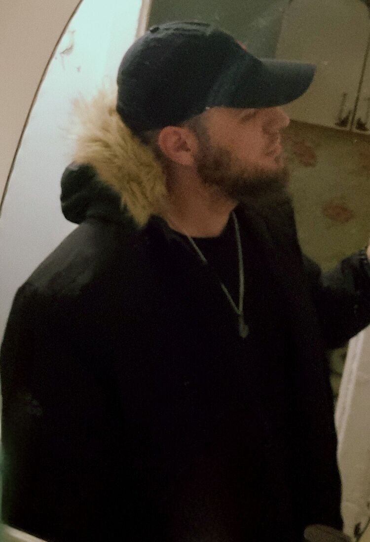 ���� 55045960 ������� FOXXXL, 32 ����, ���� ���������� � ������������