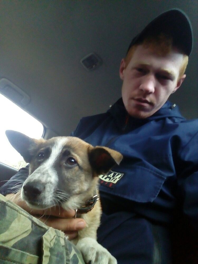 ���� 17783660 ������� ������, 27 ���, ���� ���������� � ���������