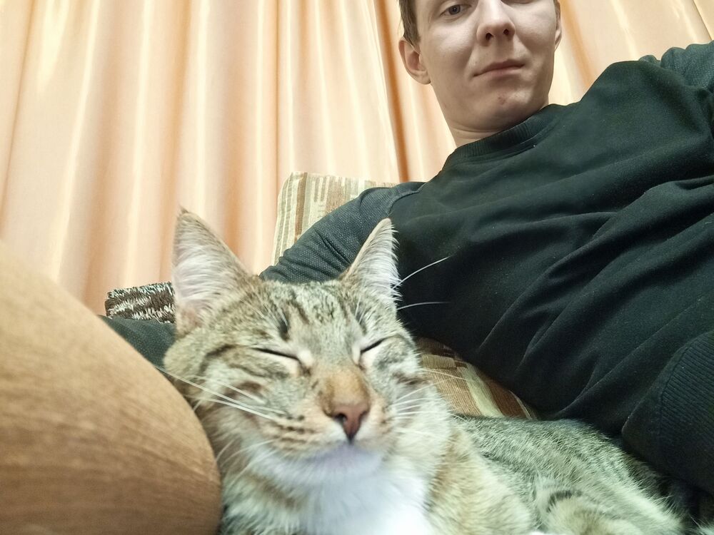 ���� 33982940 ������� ����, 29 ���, ���� ���������� � �������������