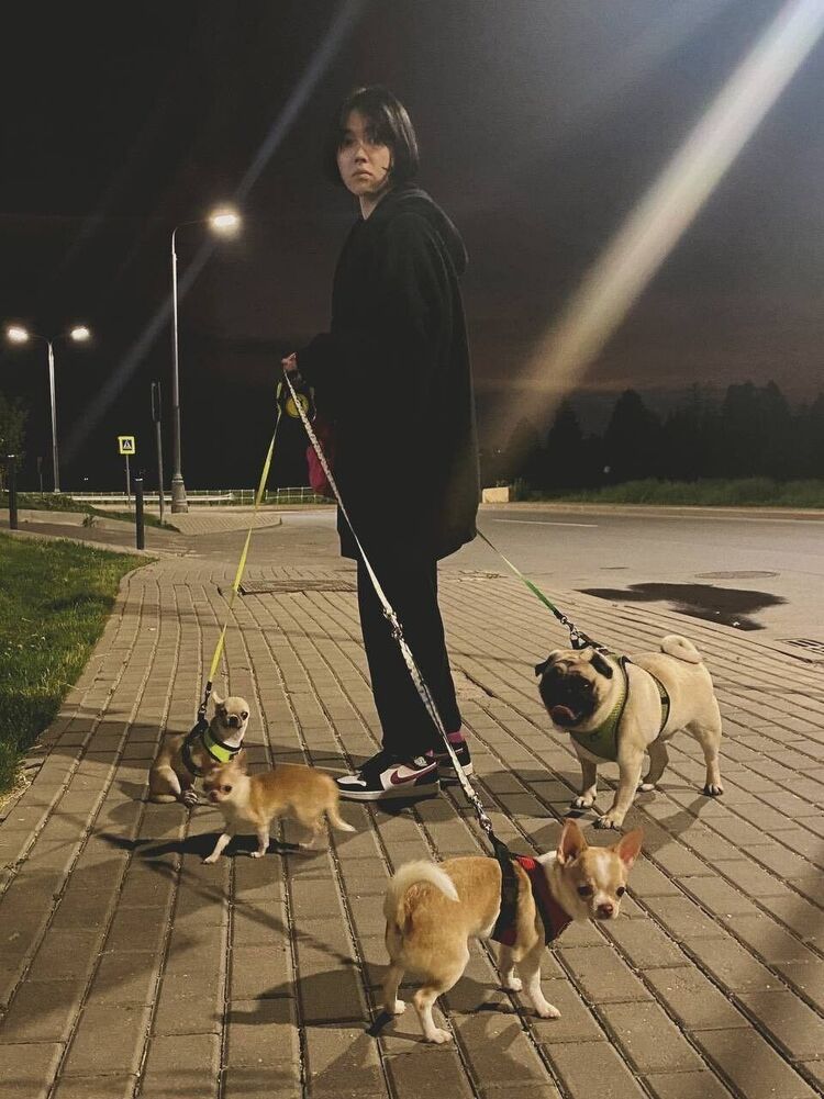 ���������� ������, ���� ������� ��������, 26 ���, ������������ ��� ������, ����� � ���������, c�������� ���������, ���������