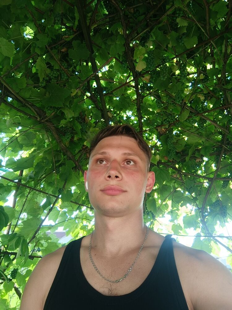  44558750  Vlad, 26 ,    