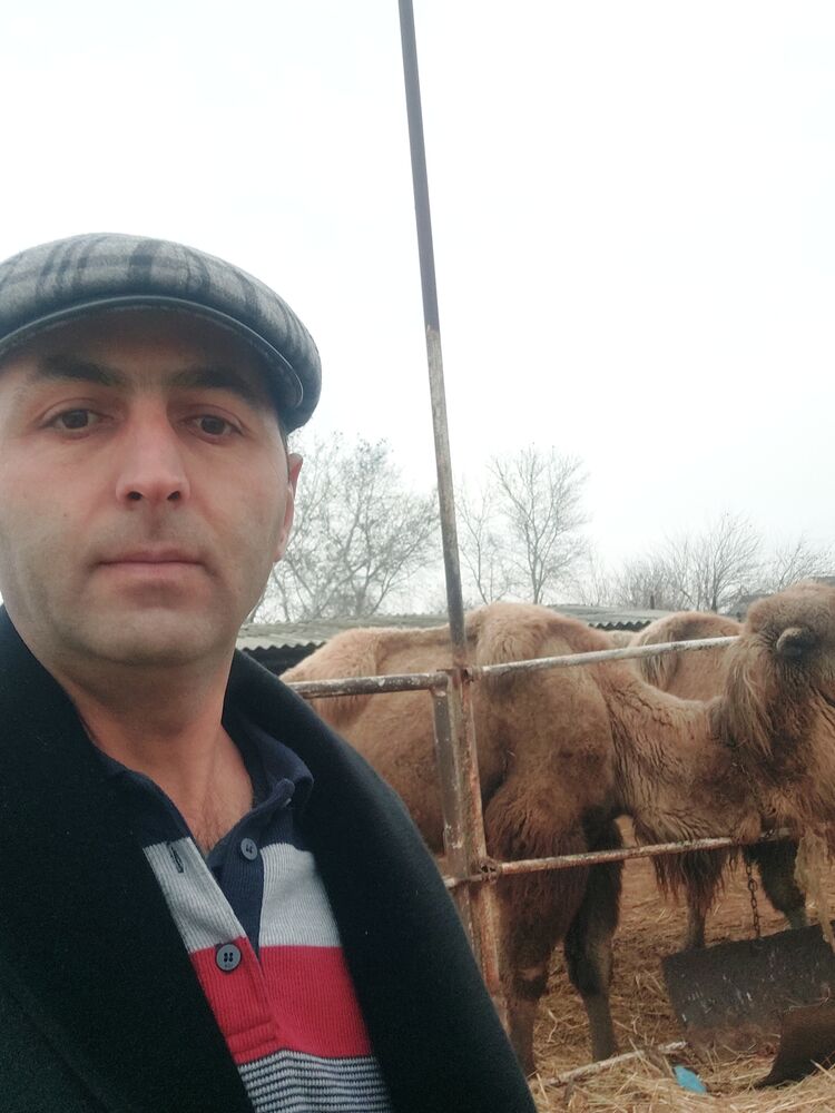 ���� 25055380 ������� �����, 40 ���, ���� ���������� � ������