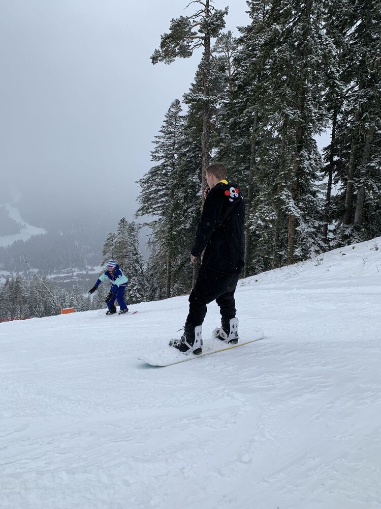 ���� 29791490 ������� ����, 28 ���, ���� ���������� � ������������