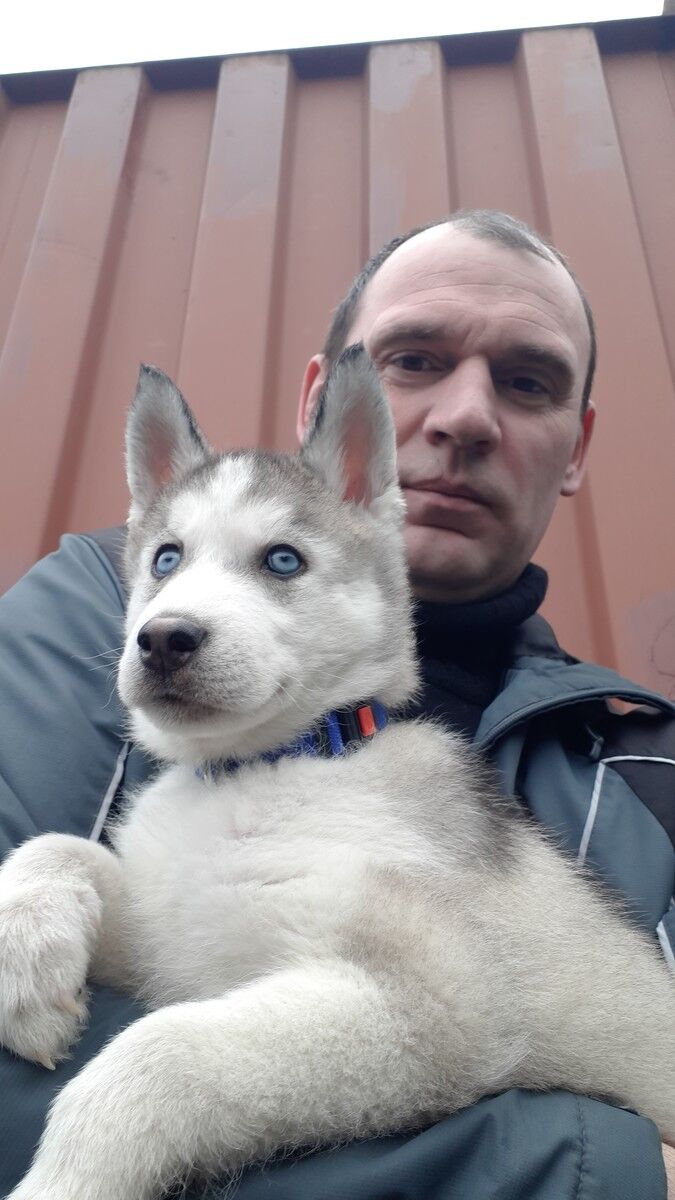 ���������� ������������, ���� ������� �����, 56 ���, ������������ 