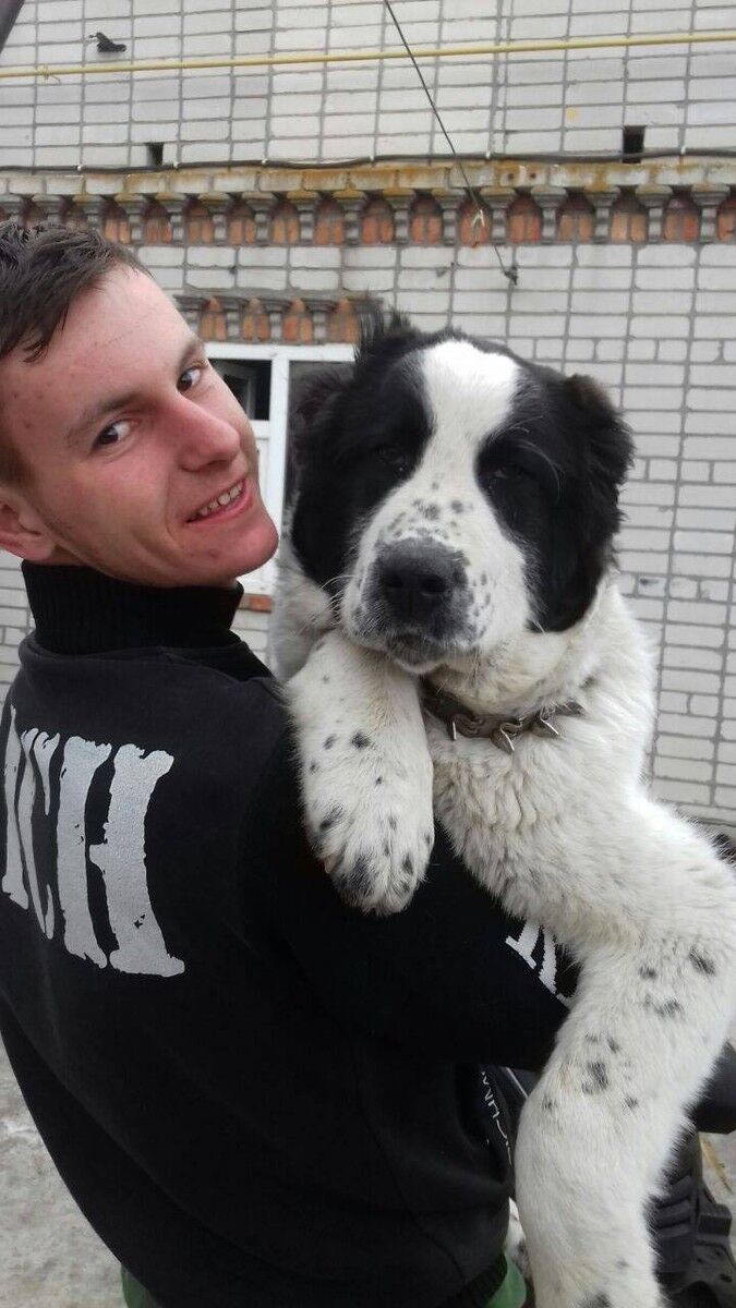 ���� 11407090 ������� ������, 28 ���, ���� ���������� � ���������