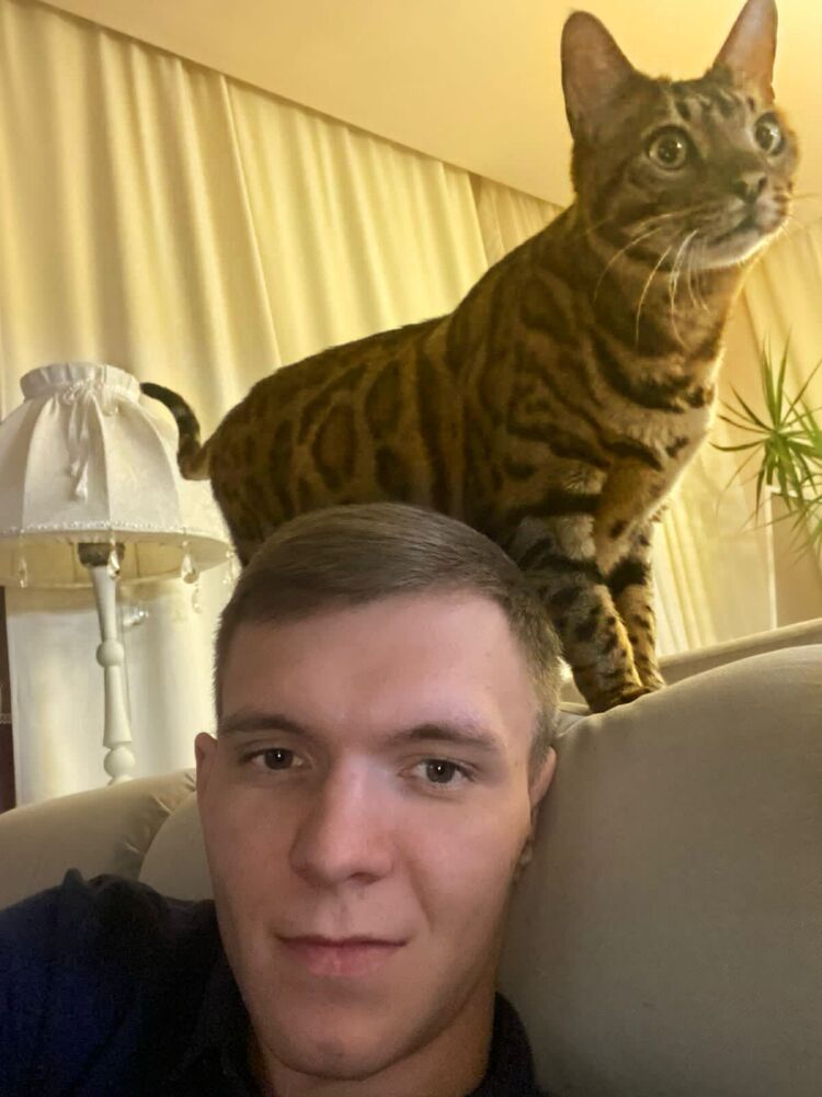 ���� 33862700 ������� �������, 26 ���, ���� ���������� � ��������