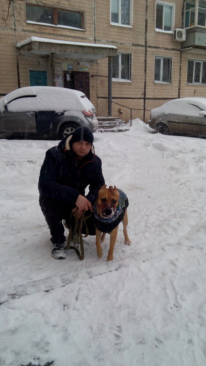 ���� 11648310 ������� ������, 38 ���, ���� ���������� � ������ ����