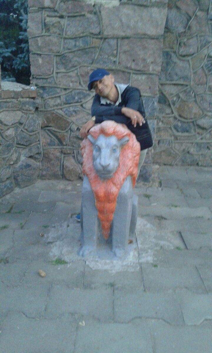  ,   , 44 ,  