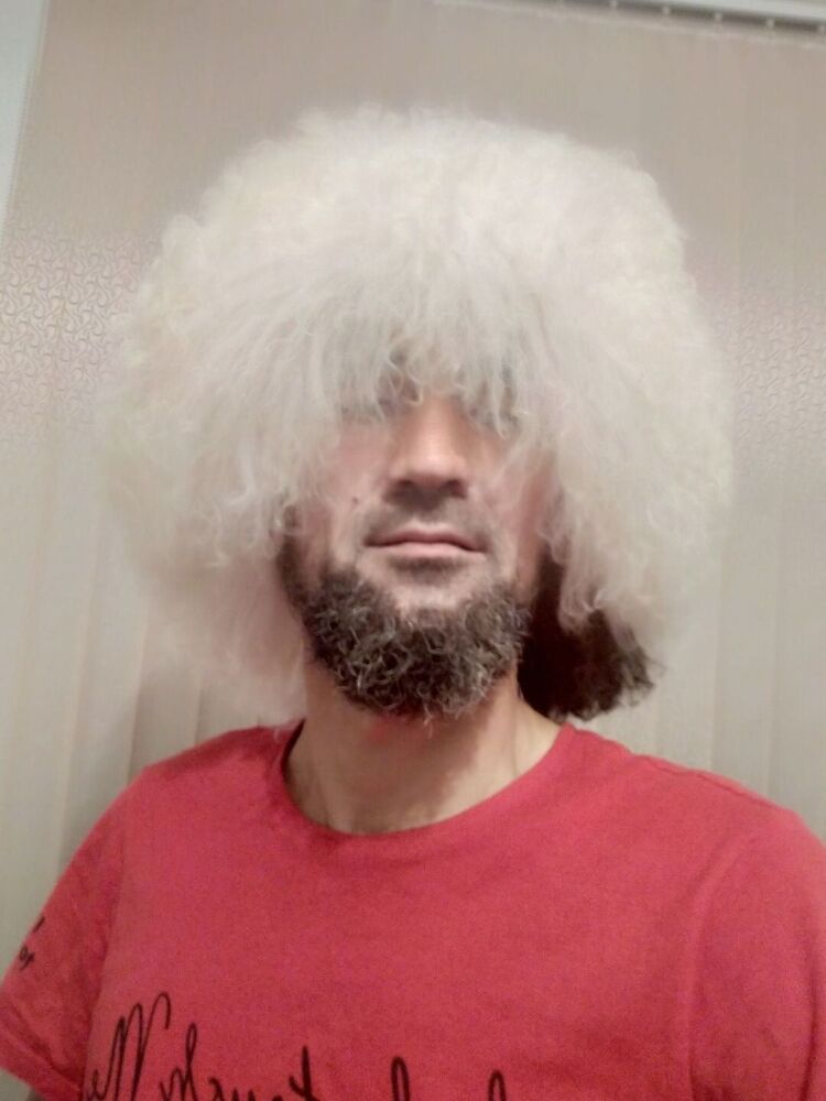  23383960  , 43 ,    