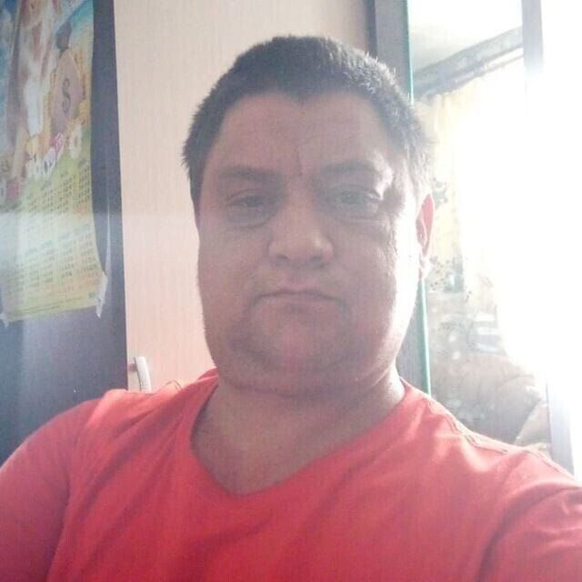  53897220  , 44 ,    --