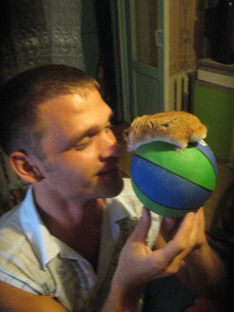 ���������� ������, ���� ������� �����, 44 ����, ������������ ��� ������, ����� � ���������, c�������� ���������