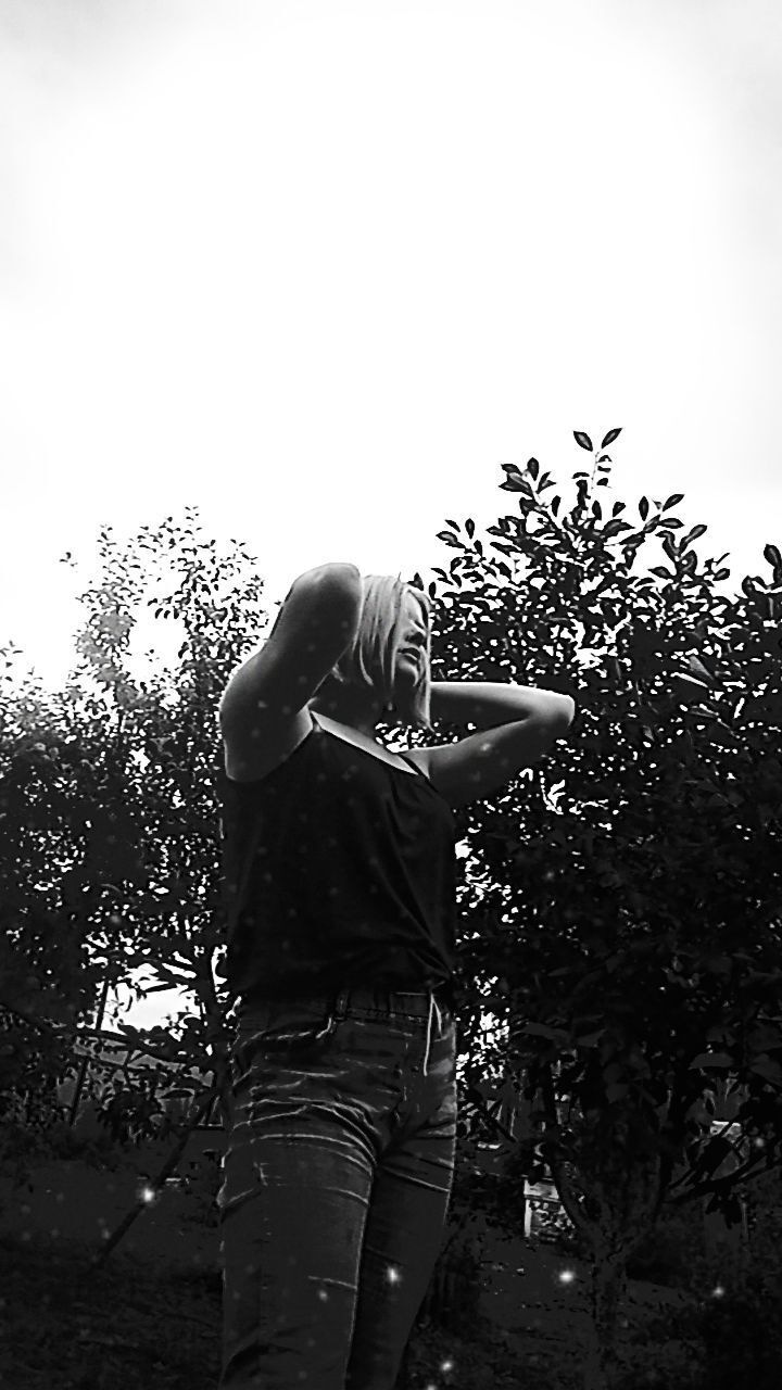  36544530  , 20 ,    