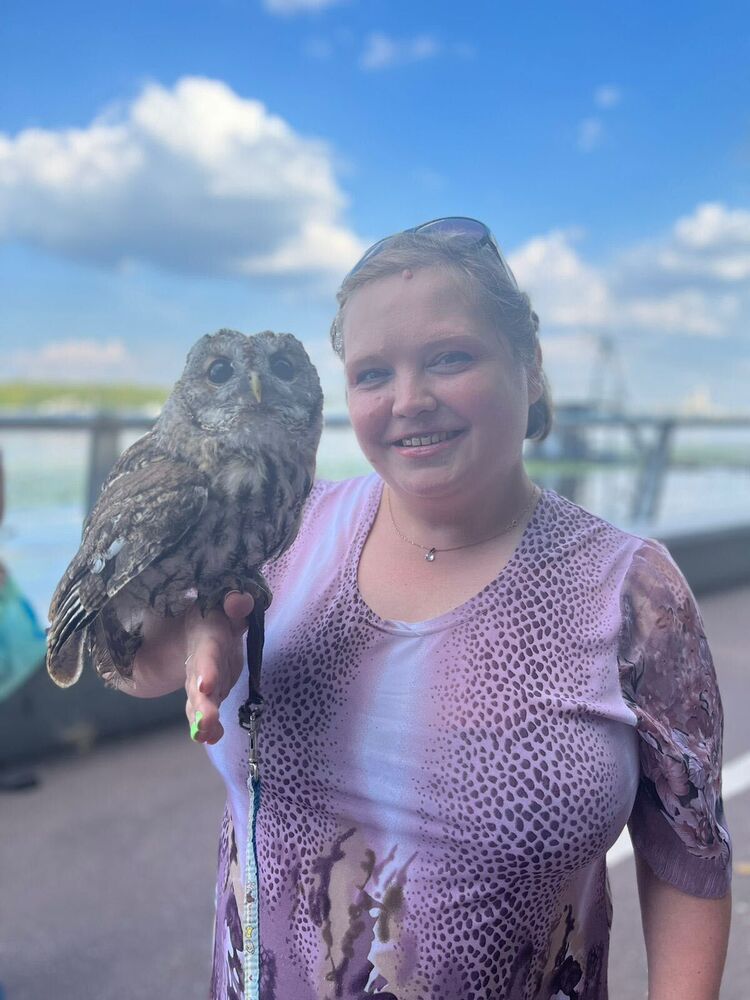 ���������� ������, ���� ������� �����, 44 ����, ������������ ��� c�������� ���������