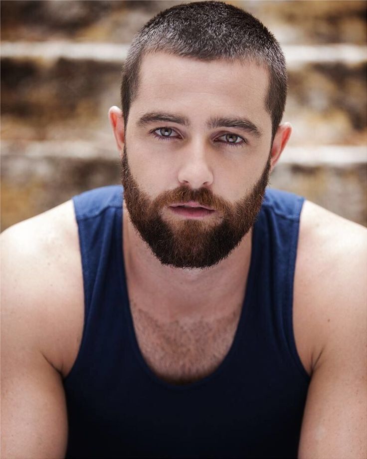 ���� 47158870 ������� �������, 33 ����, ���� ���������� � �����-����������