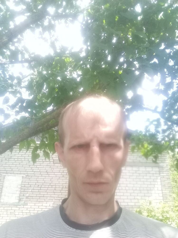  23099750  , 39 ,    