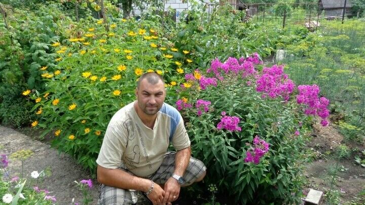 ���� 10777860 ������� ������, 45 ���, ���� ���������� � ����������