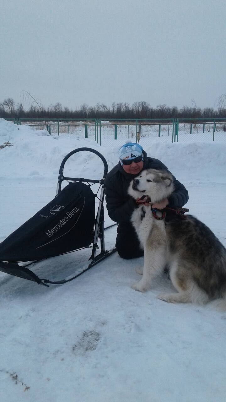 ���������� ��������, ���� ������� ������, 57 ���, ������������ ��� ������, ����� � ���������, c�������� ���������