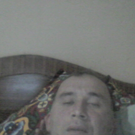 ���� 10590810 ������� ����, 44 ����, ���� ���������� � ��������