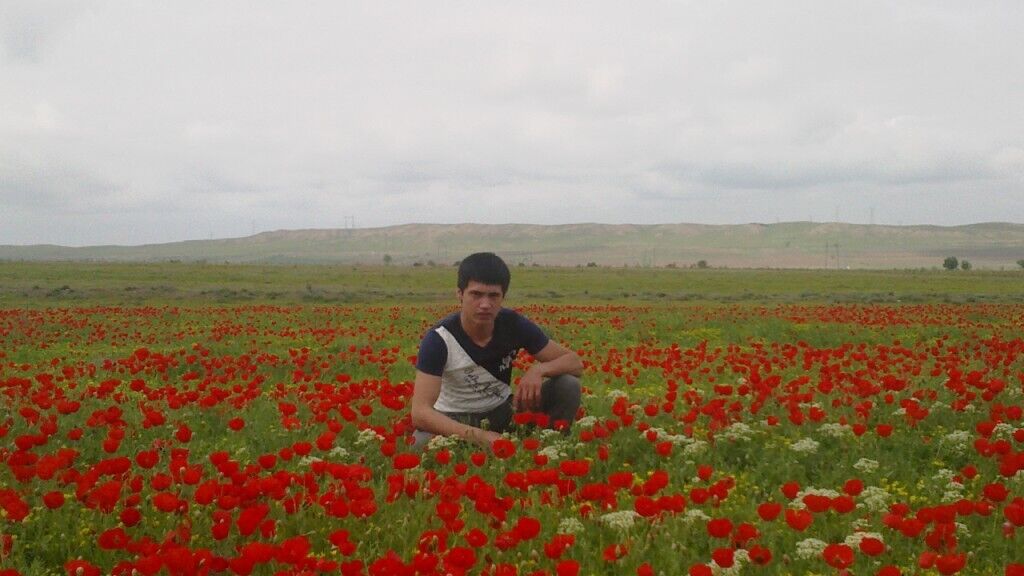 ���������� �������, ���� ������� ����, 33 ����, ������������ ��� ������, ����� � ���������, c�������� ���������, ���������