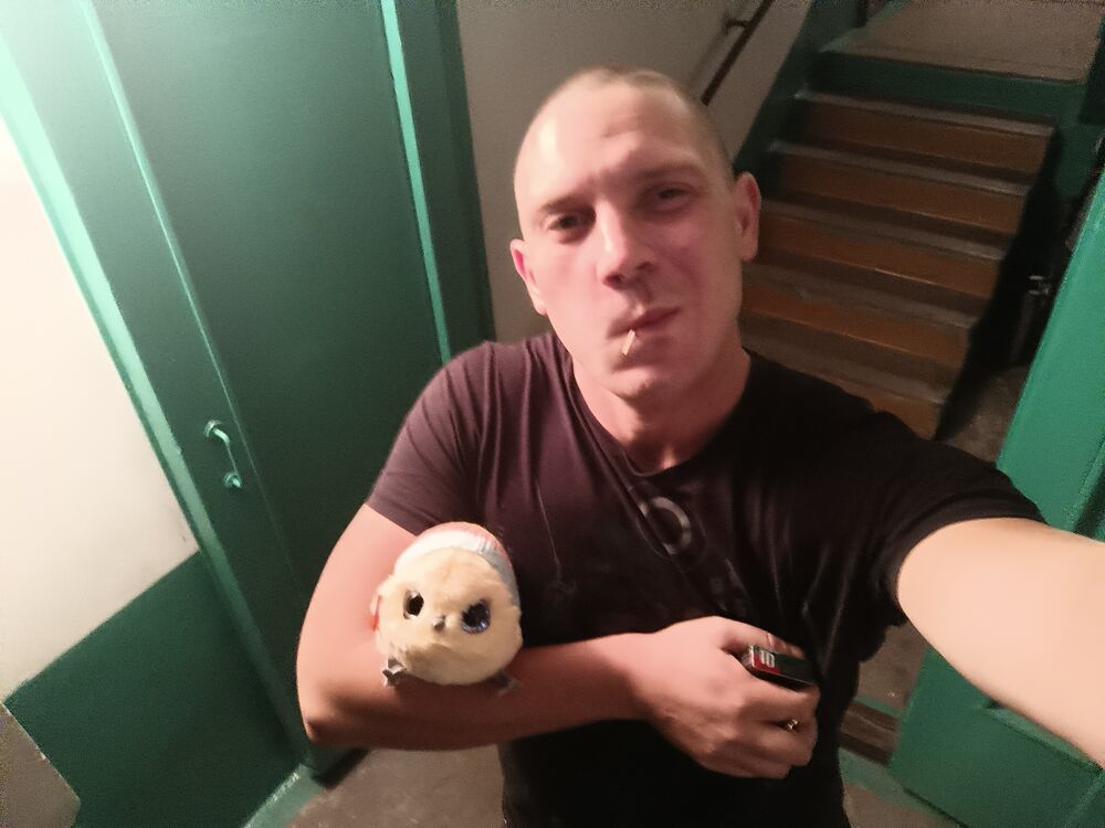  29123440  , 33 ,    
