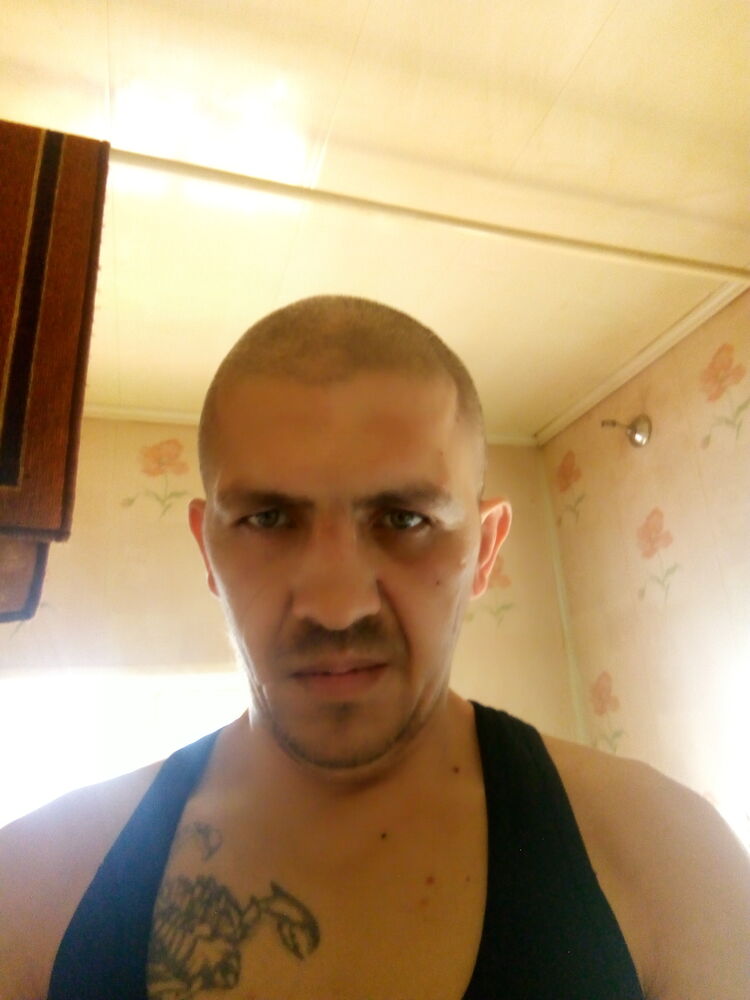  41908120  , 41 ,    