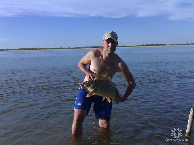 ���������� ���������, ���� ������� ����, 43 ����, ������������ ��� ������, ����� � ���������