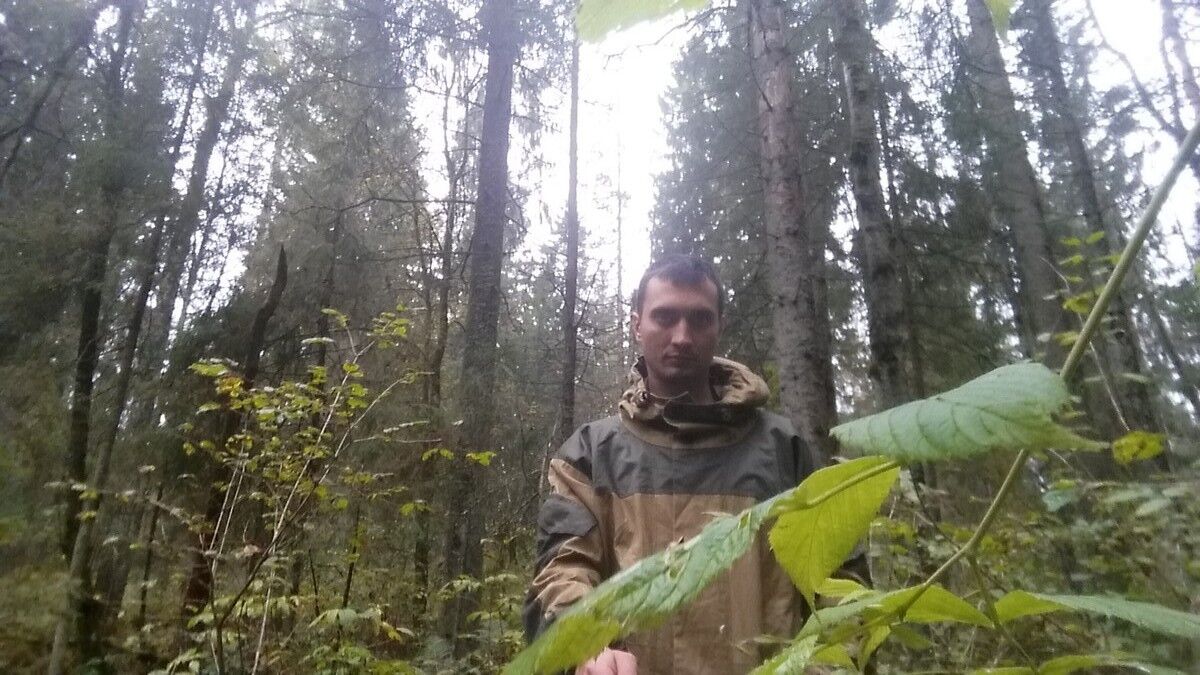  8173020  , 39 ,    -