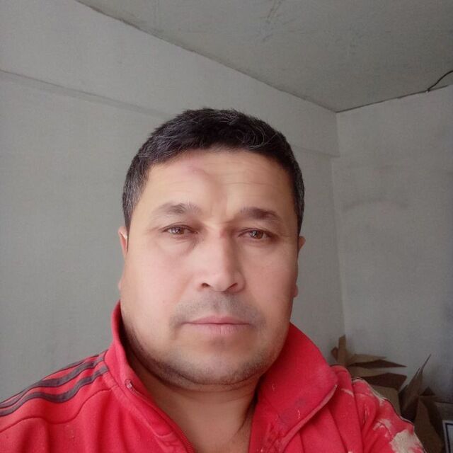  46123790  , 43 ,    