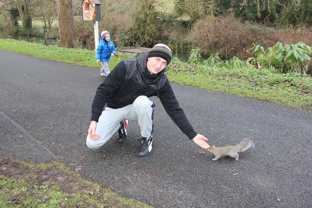  22581750  Tudor, 43 ,    