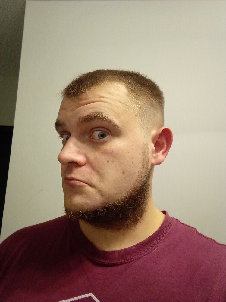 ���� 31462430 ������� ������, 34 ����, ���� ���������� � ������