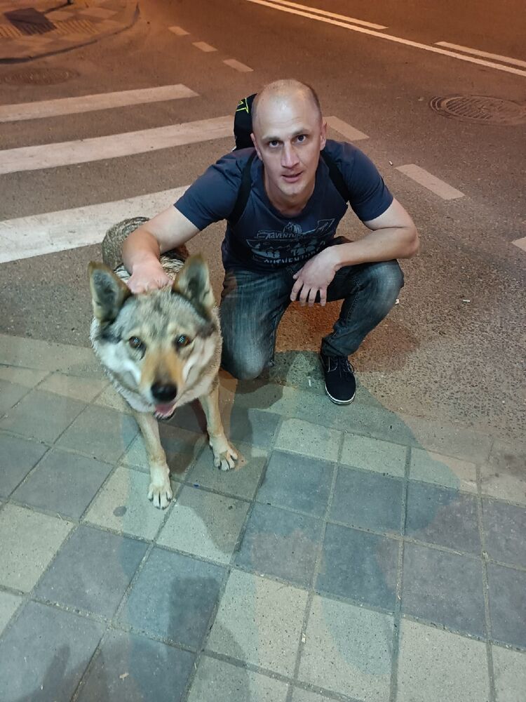 ���� 55494250 ������� �����, 38 ���, ���� ���������� � ����������