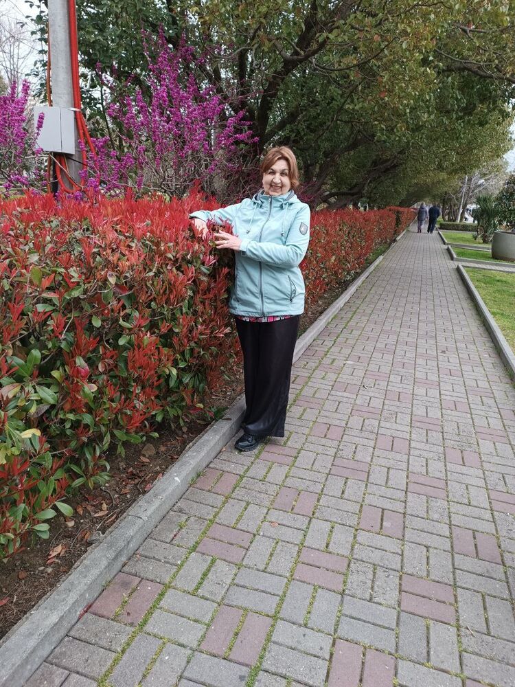  ,   , 66 ,   ,   